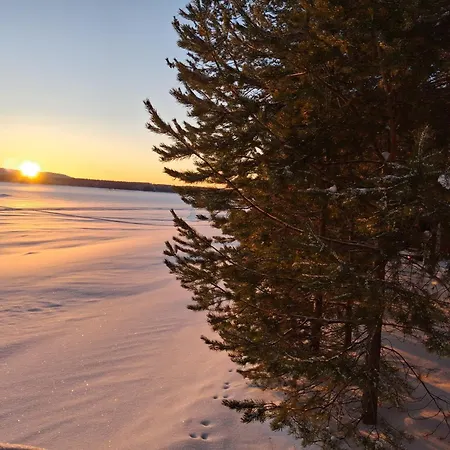 Kalkonniemi *